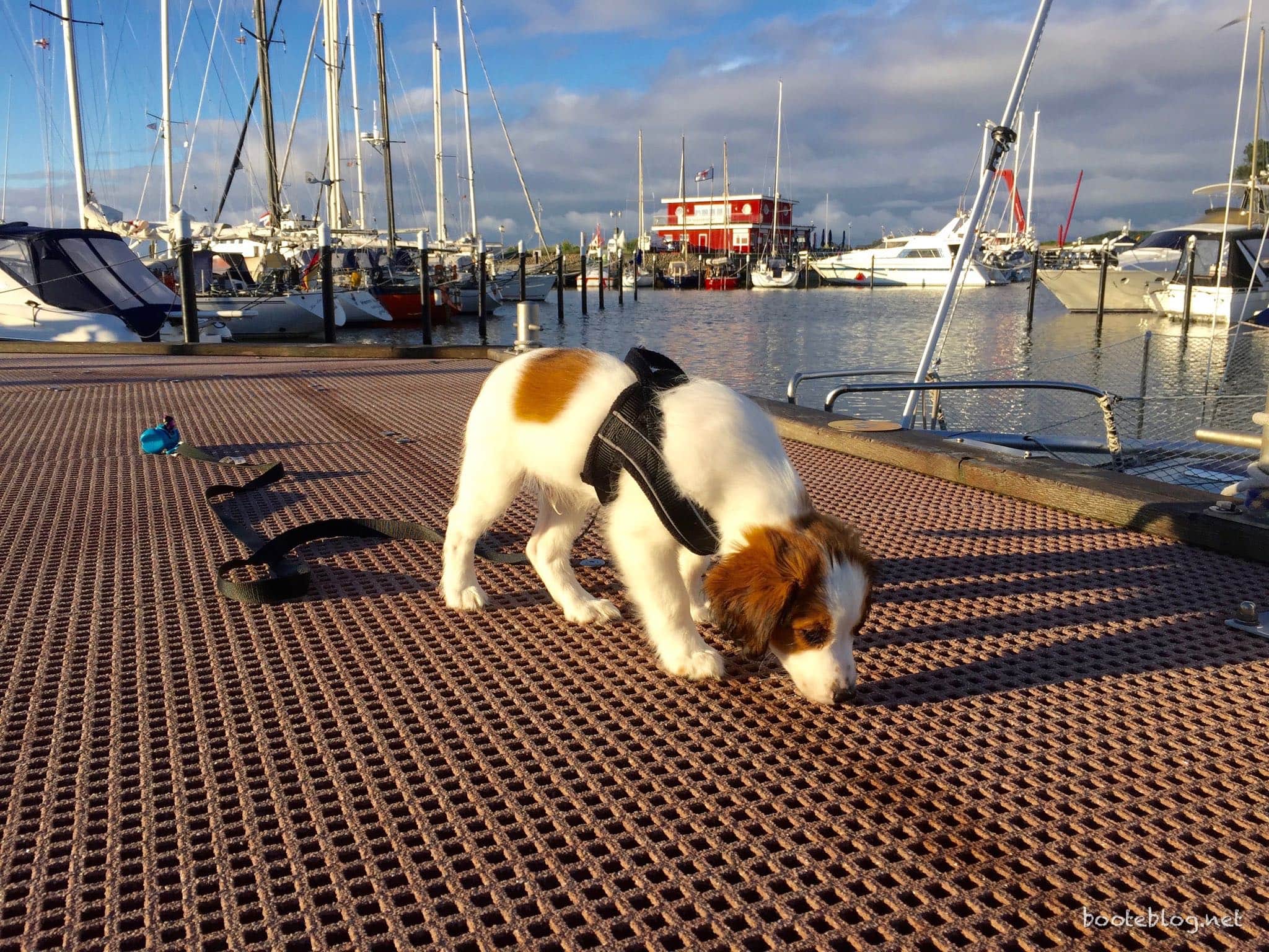 Ole auf einem Steg im Yachthafen Damp.