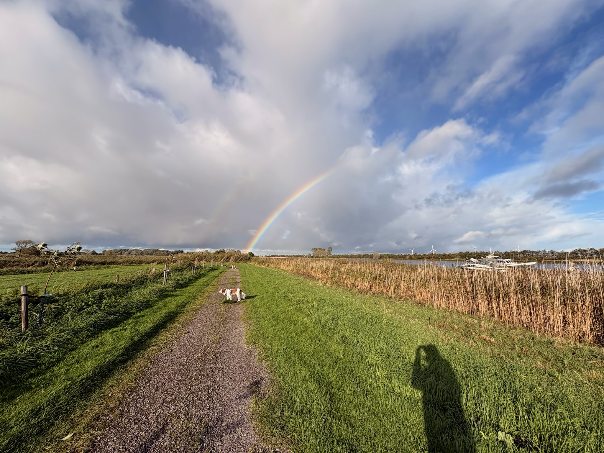 Spazierweg am Deich mit Regenbogen über Schilf und Booten im Hafen